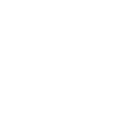 Tik Tok Icon